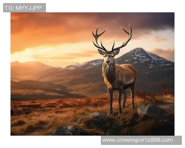 记者分析无字鹿获胜背后的深远意义彰显雄鹿实力不容忽视